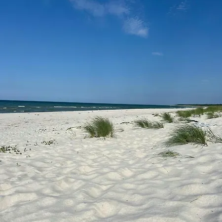 Hébergement de vacances Summerhouse In Forest Near Rorvig *