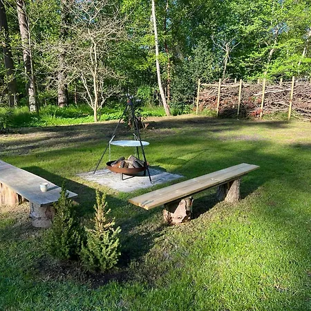 Feriehus Summerhouse In Forest Near Rorvig Nykøbing Sjælland