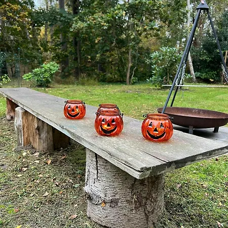 Summerhouse In Forest Near Rorvig Hébergement de vacances *