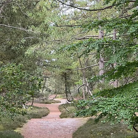펜션 Summerhouse In Forest Near Rorvig