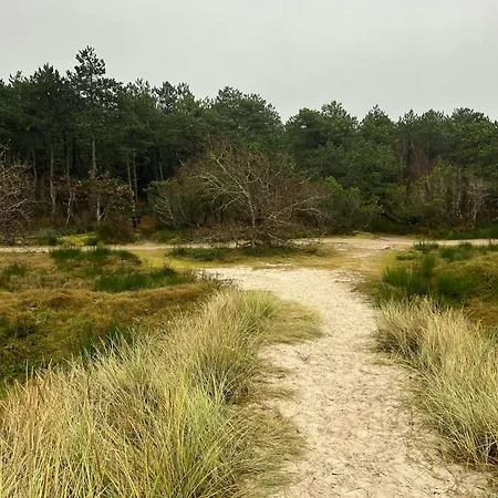 Summerhouse In Forest Near Rorvig *